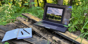 Aufgeschlagenes Notizbuch und Laptop in einer moosigen Wiese mit Baum im Hintergrund.