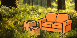 sofa-im-moos-blogbild-sofa